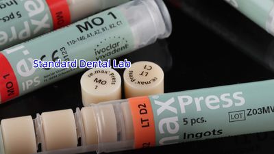 Standard Dental Lab Co., Limited Produktionslinie des Herstellers