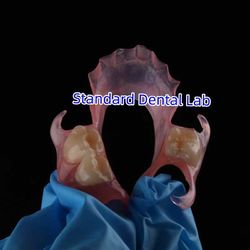 Standard Dental Lab Co., Limited Produktionslinie des Herstellers