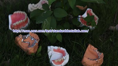 Standard Dental Lab Co., Limited Produktionslinie des Herstellers