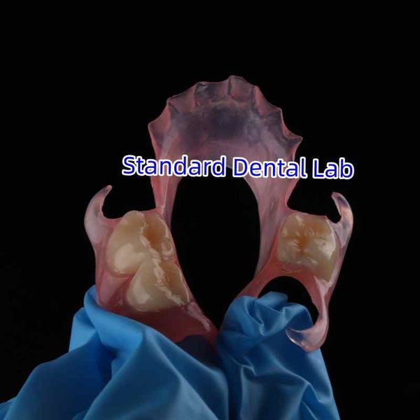 Standard Dental Lab Co., Limited Produktionslinie des Herstellers