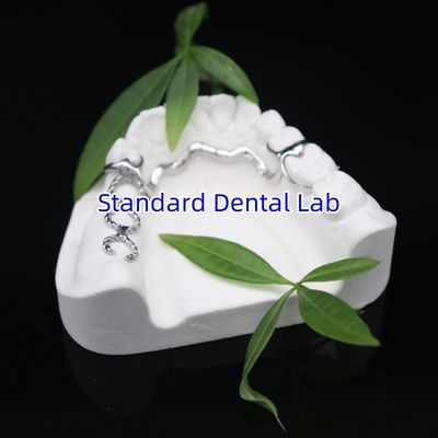 kaufen Vitallium 2000 Teilrahmen ISO CE und FDA China Dentallabor Metallrahmen on-line-Fertigung