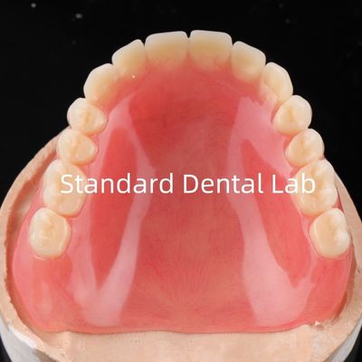 kaufen Akryl-Zahnprothesen Akrylharz für Zahnprothesen Akryl-Zahnprothesen China Dental Lab on-line-Fertigung