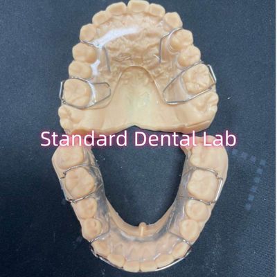 Professionelle orthodontische Halterung Acryl Zahnhalterung Hawley Adam Klammern