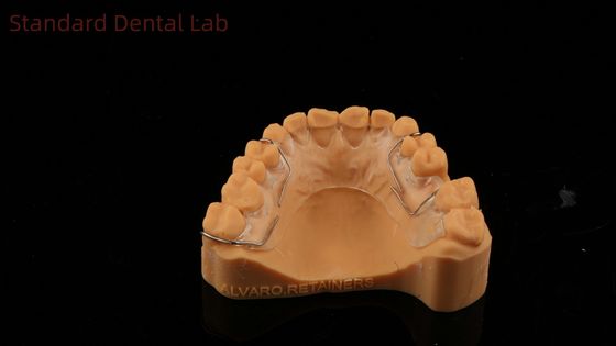 Perfekt geeignet Deutschland Ortho Zähne Halley Retainer für Ästhetik und Anpassung Klar Schatten SDL Dental Lab
